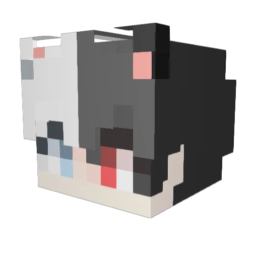 Nero_Cat Minecraft avatar head, 3D render