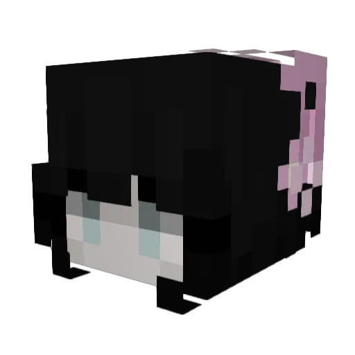 Nerolost Minecraft avatar head, 3D render