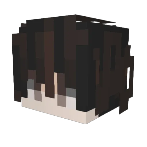 Nerovaii Minecraft avatar head, 3D render