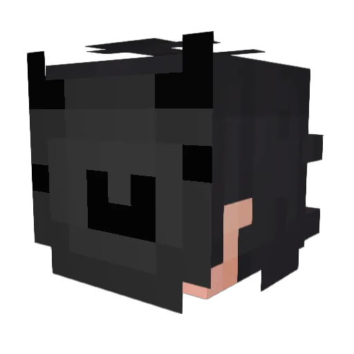 Nerox372 Minecraft avatar head, 3D render
