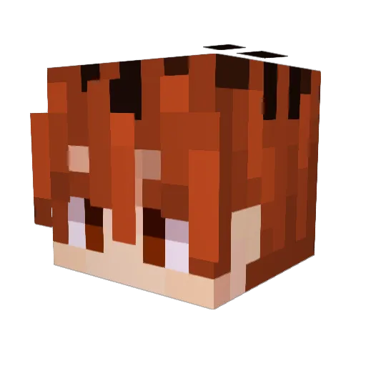 Nerubin Minecraft avatar head, 3D render