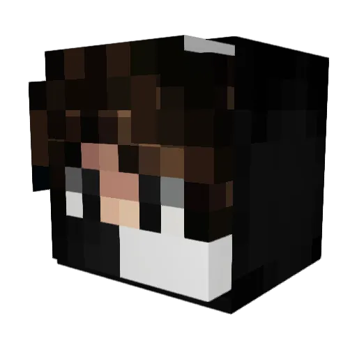 Nervexd Minecraft avatar head, 3D render