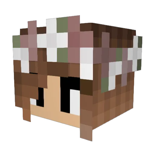 Nerviee Minecraft avatar head, 3D render