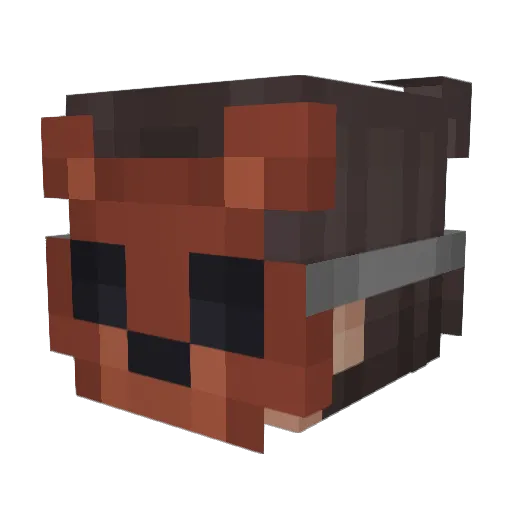 Nerwas35 Minecraft avatar head, 3D render