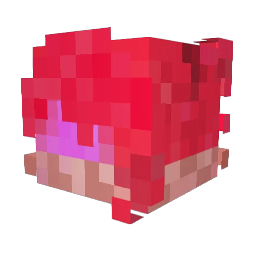 Nes9 Minecraft avatar head, 3D render