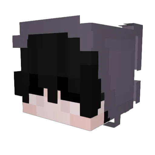NesArtist Minecraft avatar head, 3D render
