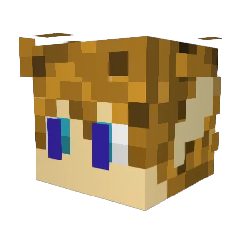 NesGaming41 Minecraft avatar head, 3D render
