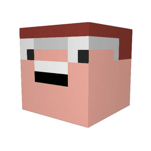 NesQ_BiT Minecraft avatar head, 3D render