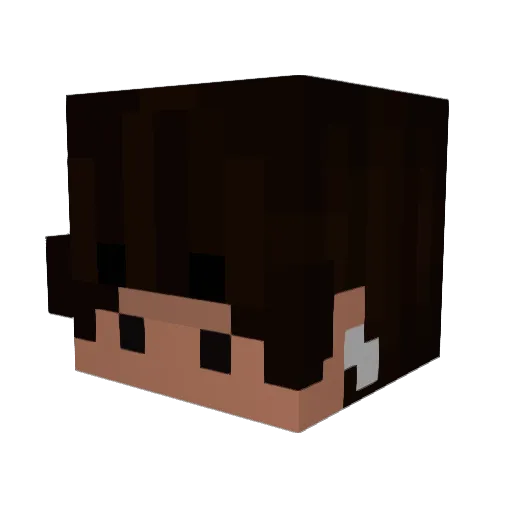NesStorr Minecraft avatar head, 3D render
