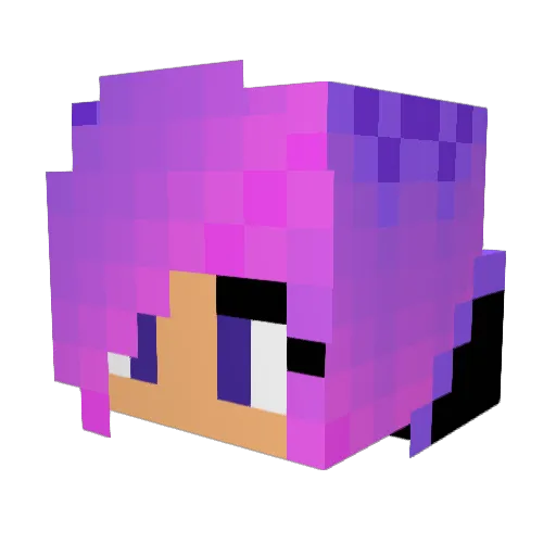 NesTheMiner Minecraft avatar head, 3D render