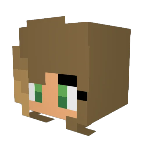 NesaLove Minecraft avatar head, 3D render