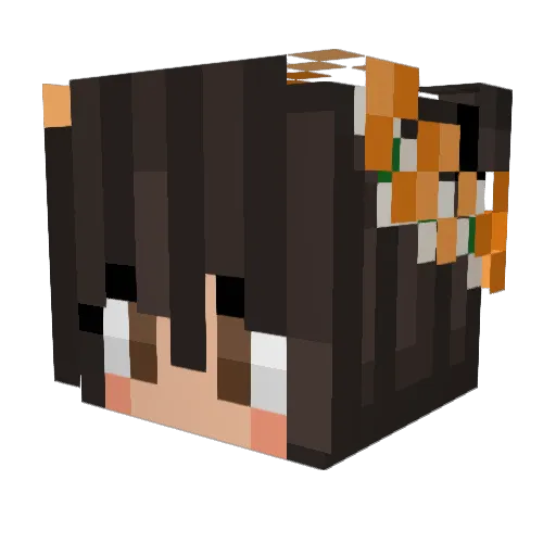 Nesaa_ Minecraft avatar head, 3D render