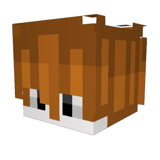 Nesco Minecraft avatar head, 3D render