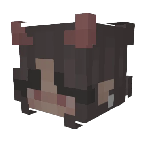 Nescobaa Minecraft avatar head, 3D render