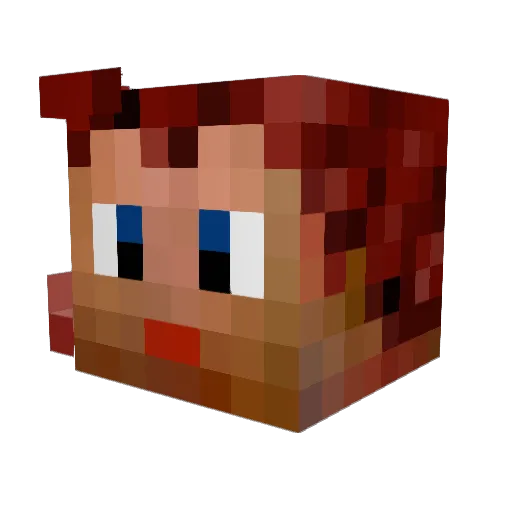 Nesirea Minecraft avatar head, 3D render