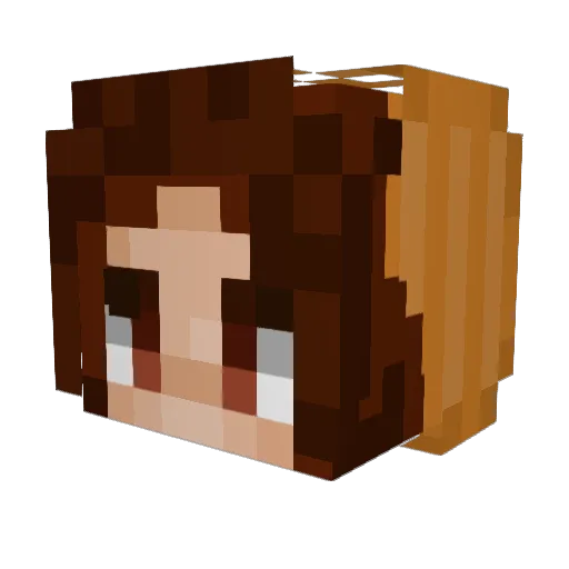 Neskai_ Minecraft avatar head, 3D render