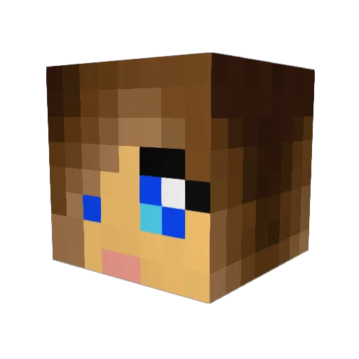 Ness111 Minecraft avatar head, 3D render
