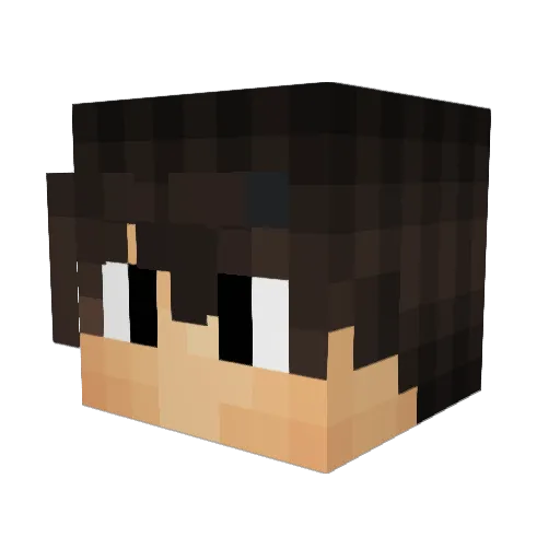 NessTAG Minecraft avatar head, 3D render