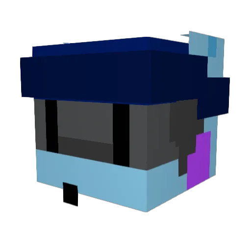 NessUsesPkFire1 Minecraft avatar head, 3D render