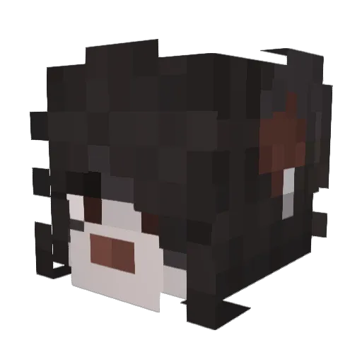 Ness_FGC Minecraft avatar head, 3D render