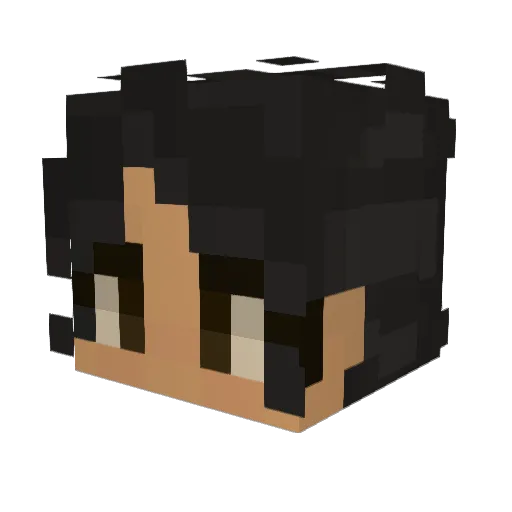 NessaRoo112 Minecraft avatar head, 3D render