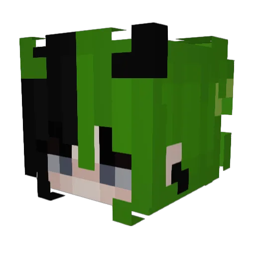 Nessi2848 Minecraft avatar head, 3D render