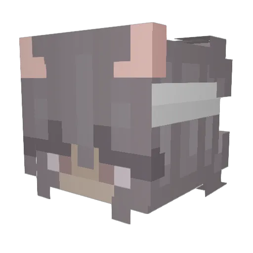 Nessie131 Minecraft avatar head, 3D render
