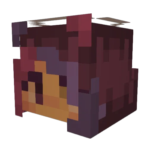 NessieMonster05 Minecraft avatar head, 3D render