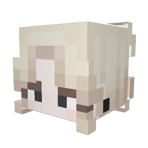 Nessst0p Minecraft avatar head, 3D render
