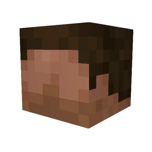 Nest1999 Minecraft avatar head, 3D render