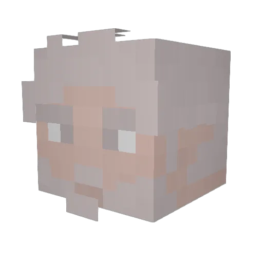 NestOfDeceit Minecraft avatar head, 3D render