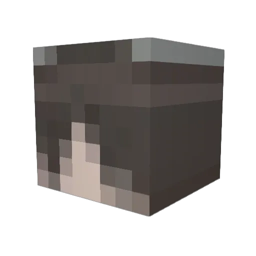 Nesu11 Minecraft avatar head, 3D render