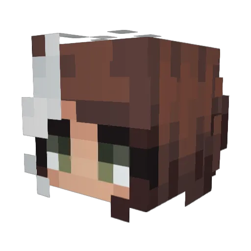 NesvinThePoopman Minecraft avatar head, 3D render