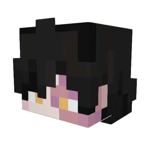 Net24k Minecraft avatar head, 3D render