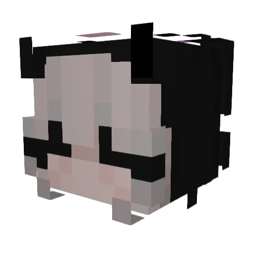 Net4Smile Minecraft avatar head, 3D render
