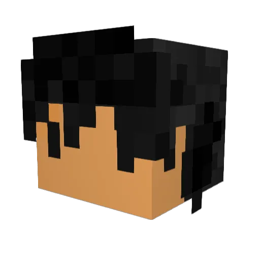 NetBean Minecraft avatar head, 3D render