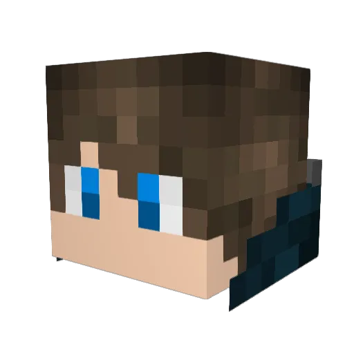 NetBug_tw Minecraft avatar head, 3D render