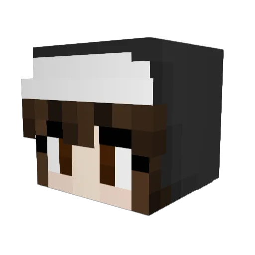 NetCarrot Minecraft avatar head, 3D render