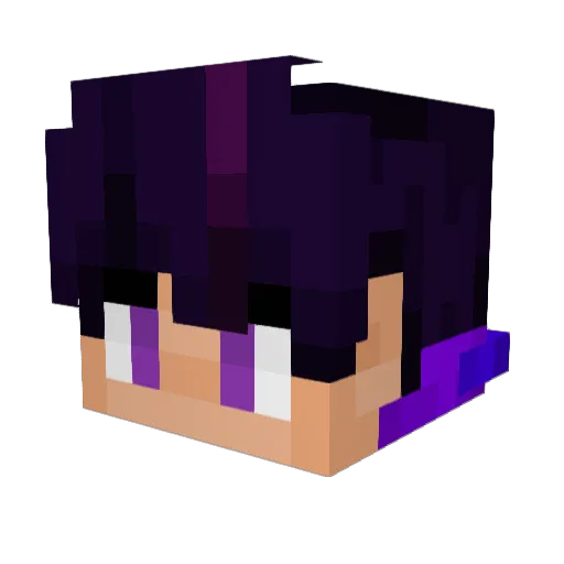 NetForceOp Minecraft avatar head, 3D render