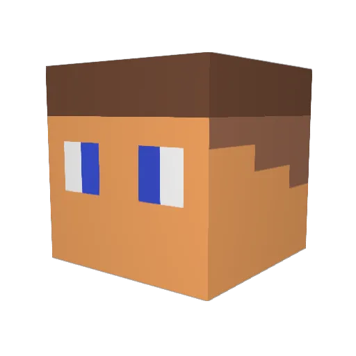 NetShatz Minecraft avatar head, 3D render