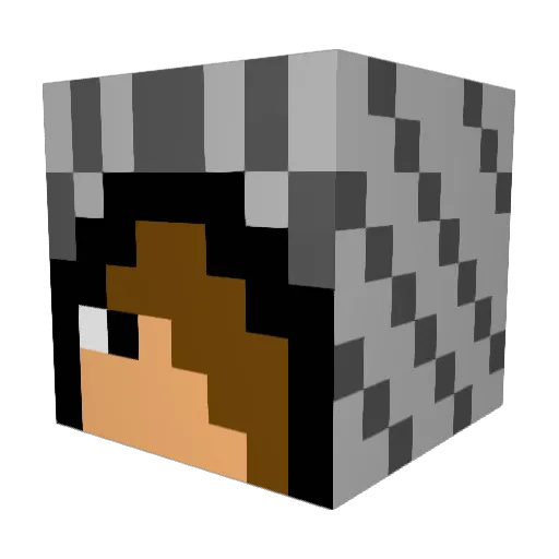 NetSkill Minecraft avatar head, 3D render
