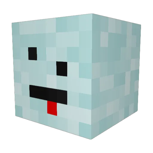 NetTheory Minecraft avatar head, 3D render