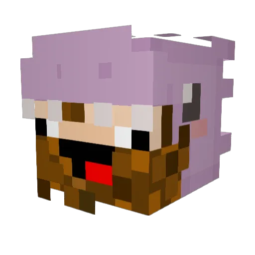 NetUnterhaltsam Minecraft avatar head, 3D render
