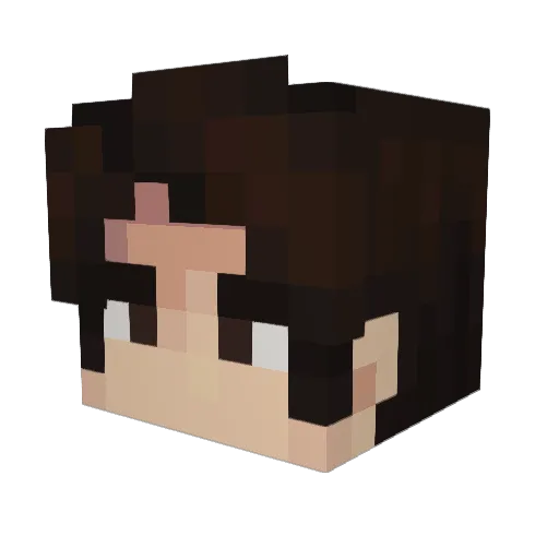 NetWoodle Minecraft avatar head, 3D render
