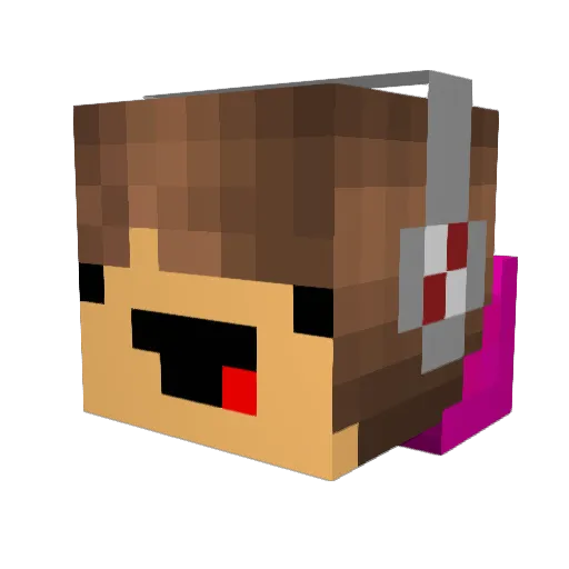 NetWurkDawg Minecraft avatar head, 3D render