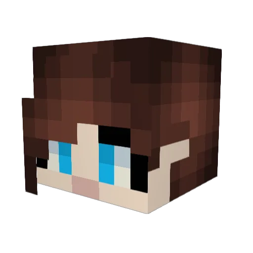 NetalianSoda Minecraft avatar head, 3D render