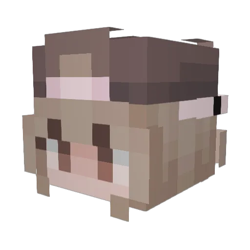 Netarot Minecraft avatar head, 3D render