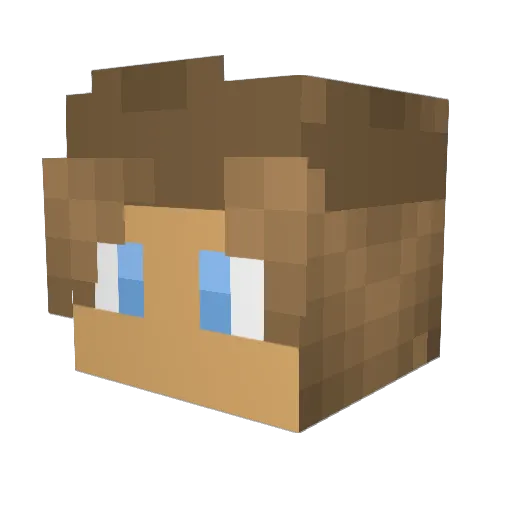 Netch17 Minecraft avatar head, 3D render