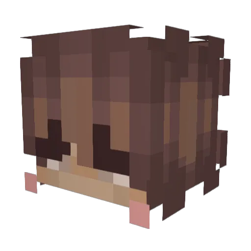 Netelo Minecraft avatar head, 3D render