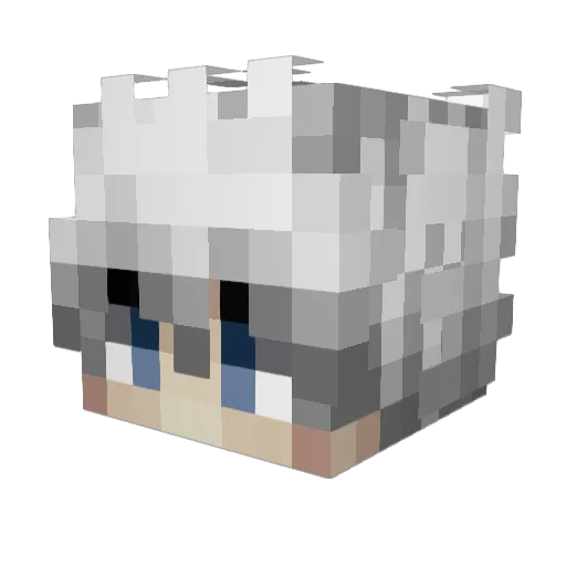 Neter43 Minecraft avatar head, 3D render